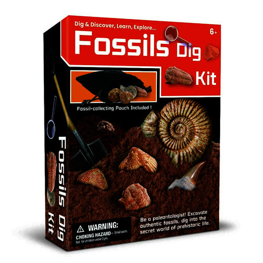 DIG & DISCOVER FOSSILS DIG KIT