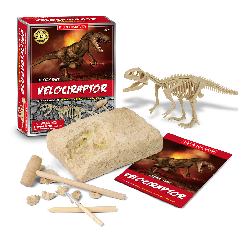 DIG & DISCOVER VELOCIRAPTOR DIG KITS