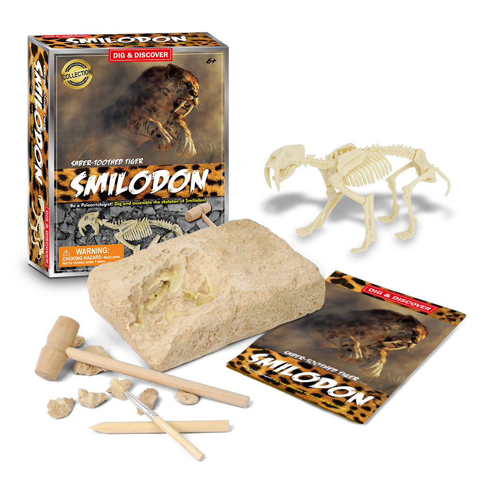 DIG & DISCOVER SABER-TOOTHED TIGER DIG KITS