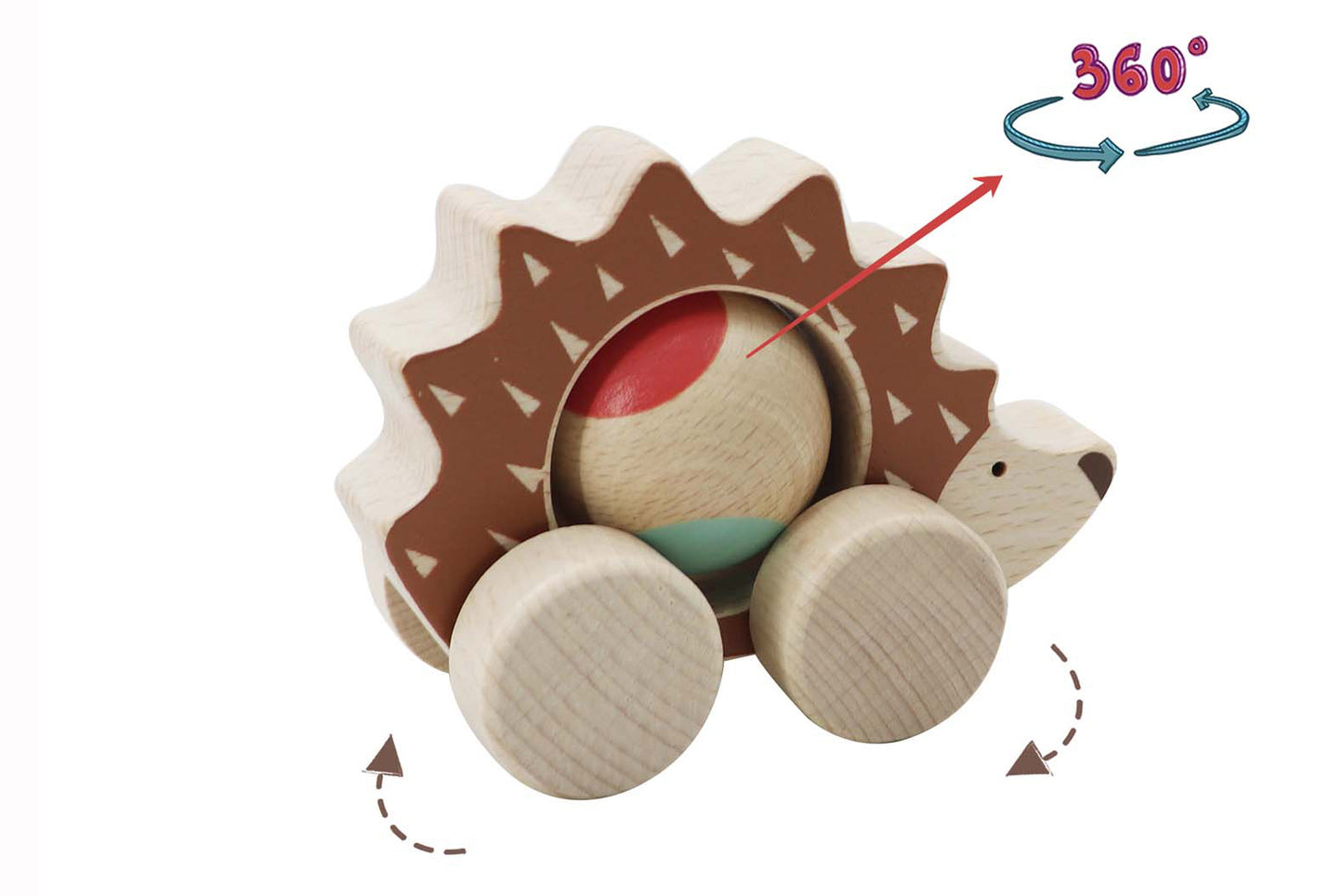 ECO PLAY PUSH A LONG SPINNING HEDGEHOG